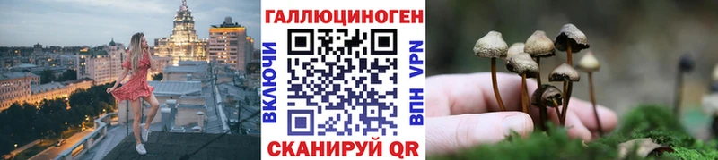 Псилоцибиновые грибы Psilocybine cubensis  blacksprut ссылка  Мещовск 